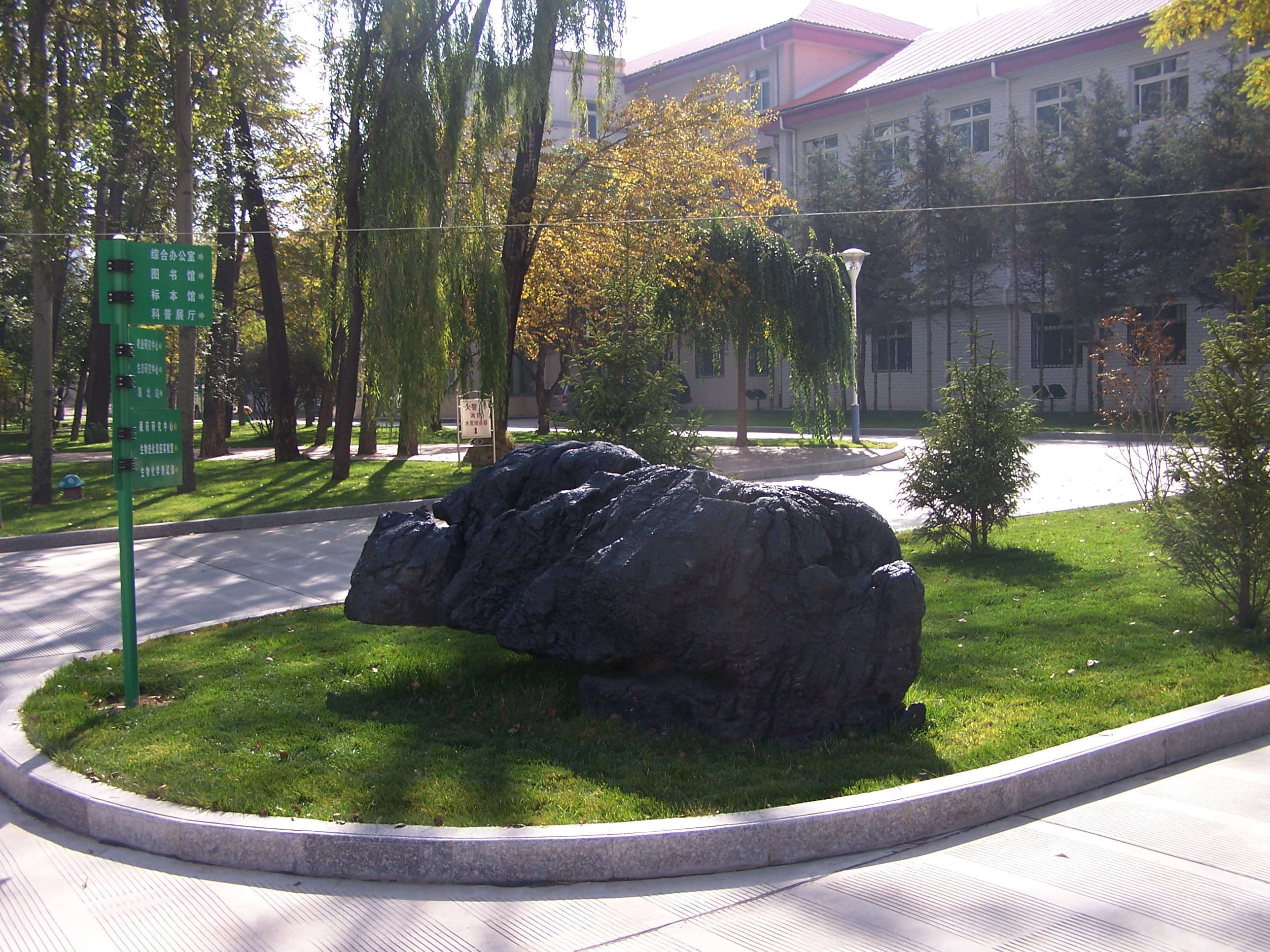 The Ground Scenery