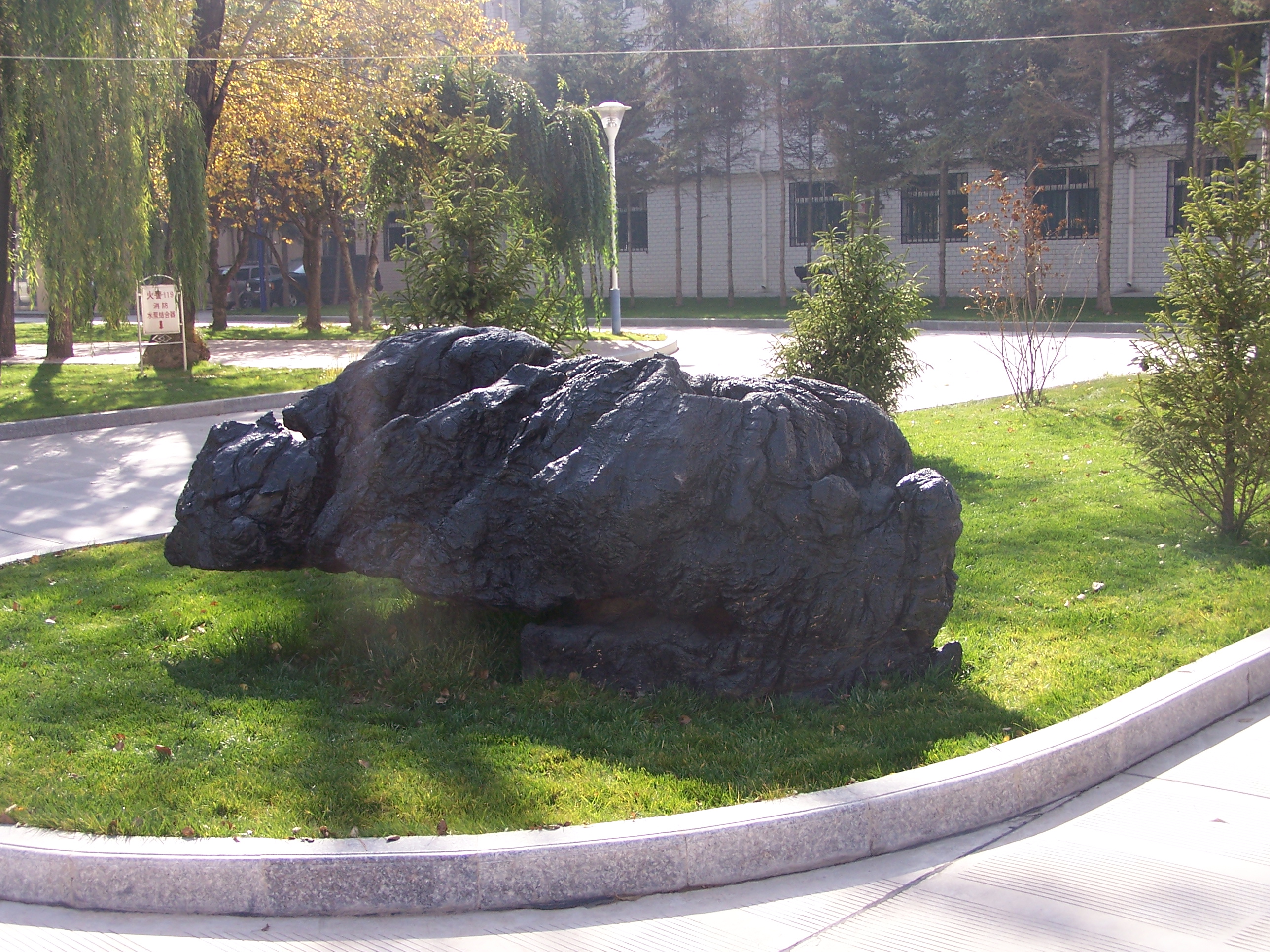 The Ground Scenery