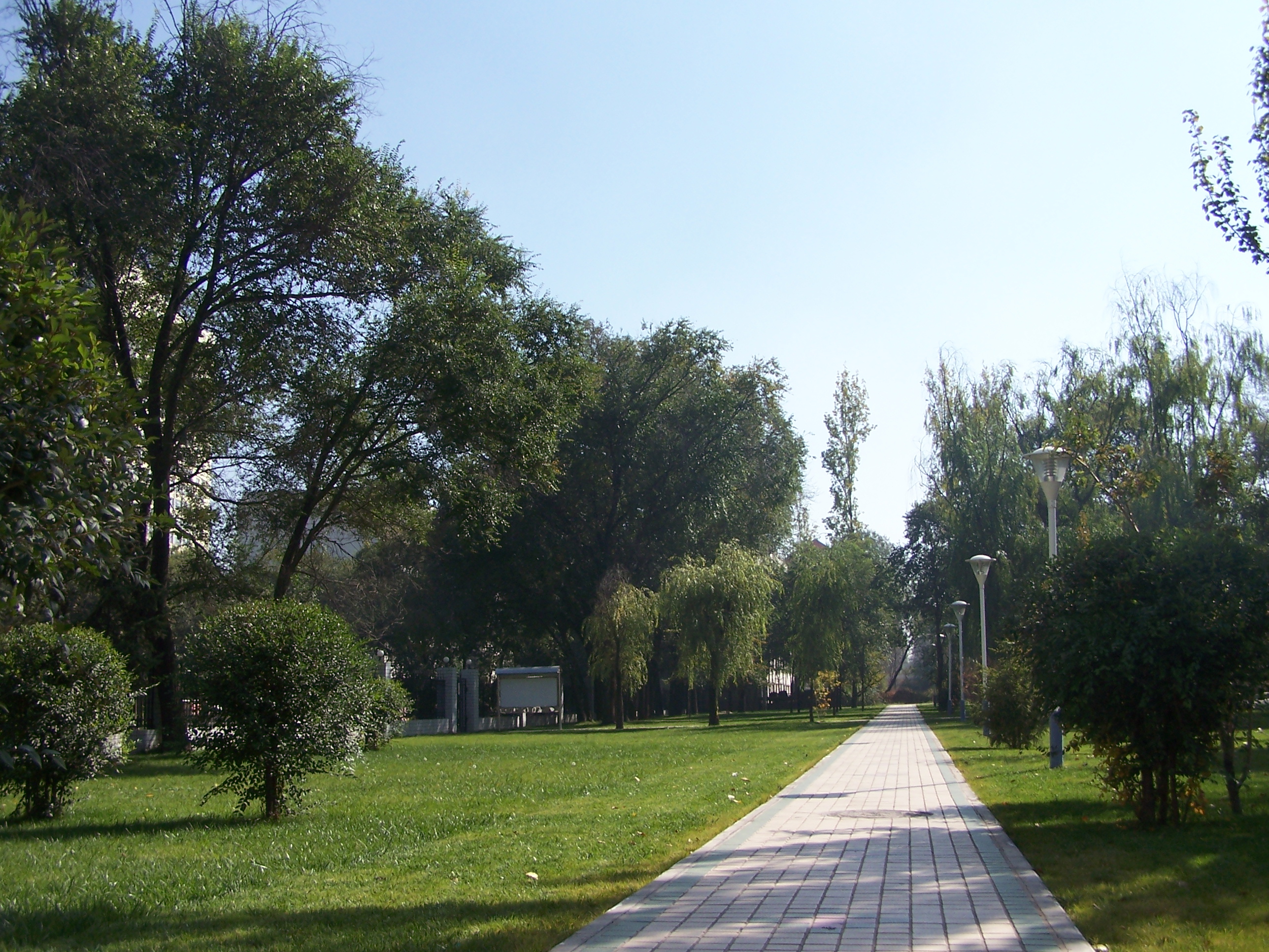 The Ground Scenery