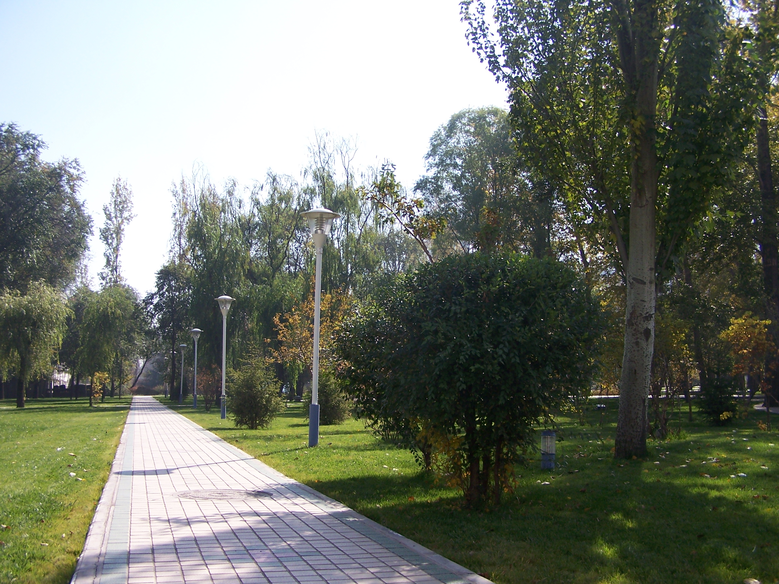 The Ground Scenery